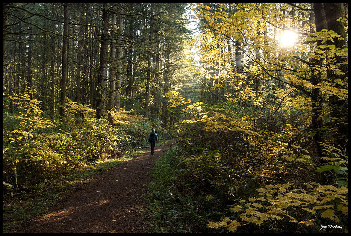 Pilchuck-Tree-Farm-(166).jpg