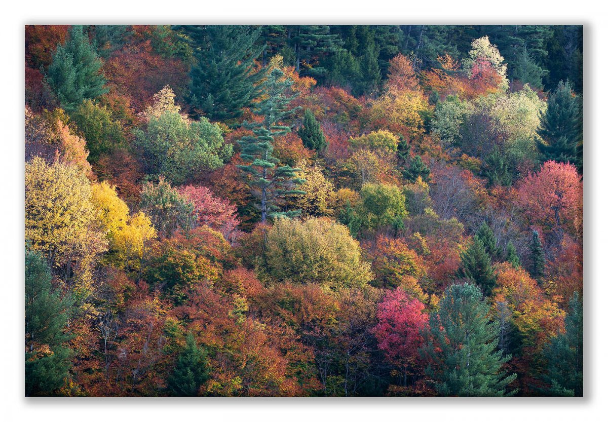 Piseco Oct 18-19 Arietta Mountainside Display.jpg