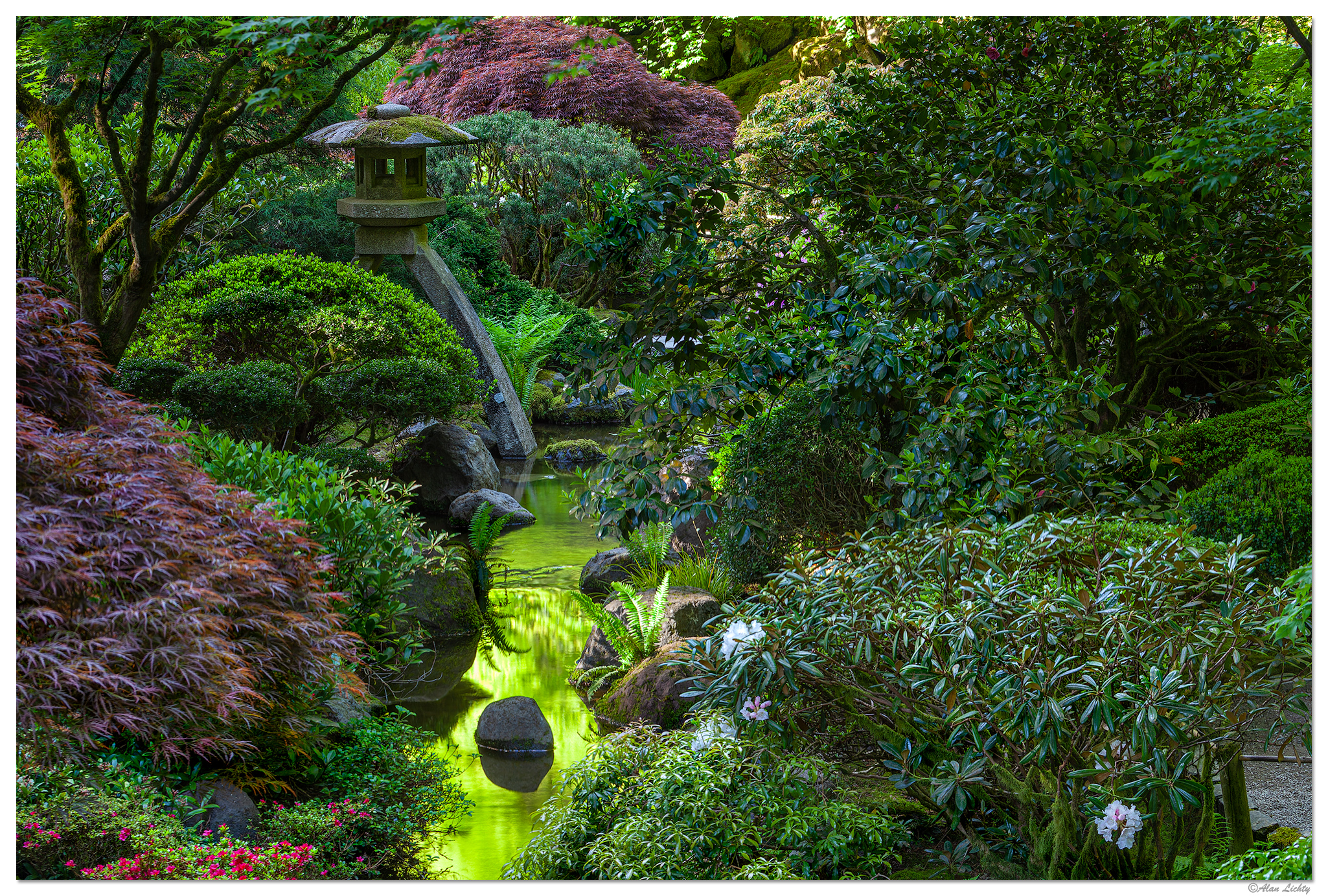 A Spring Morning | Focal World