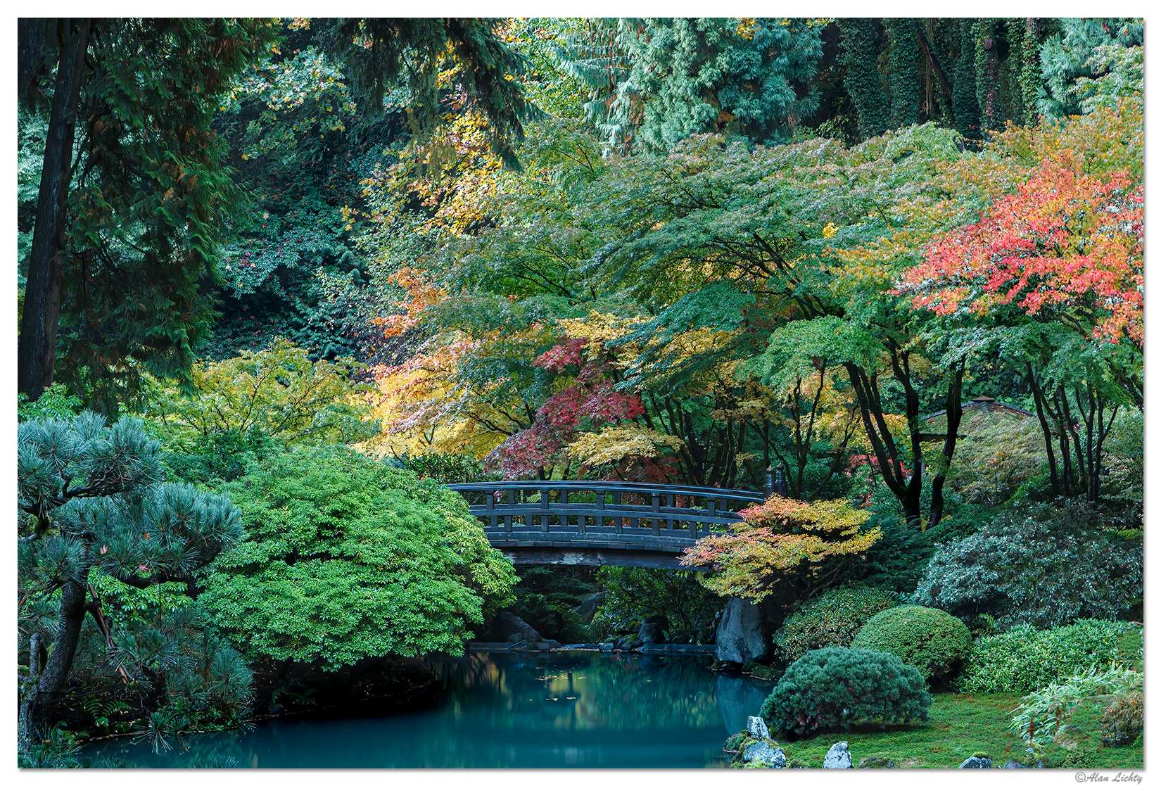 Sunday Gardens 7/25/2021 | Focal World