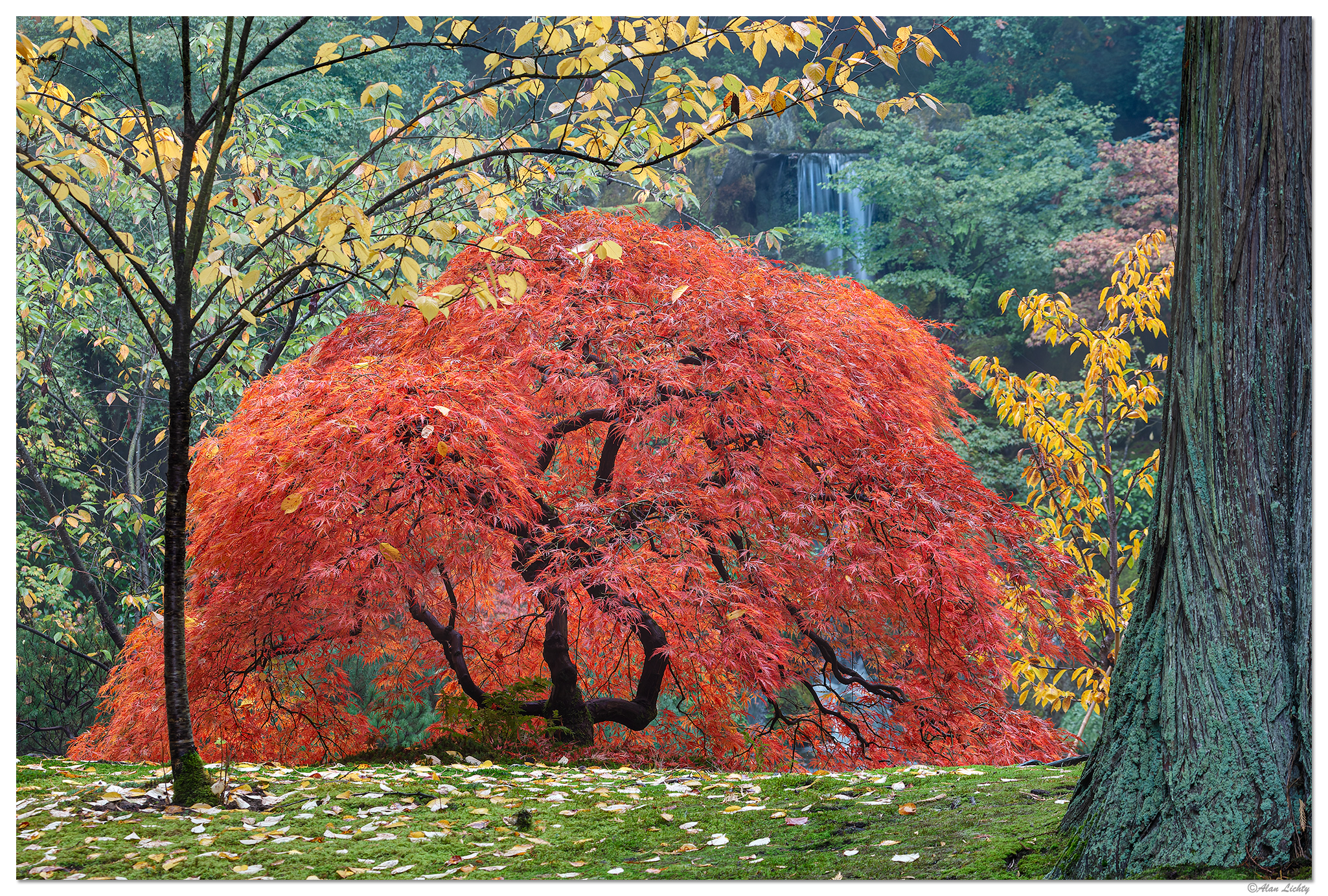 PJG-JMapleHeavenlyFalls.jpg
