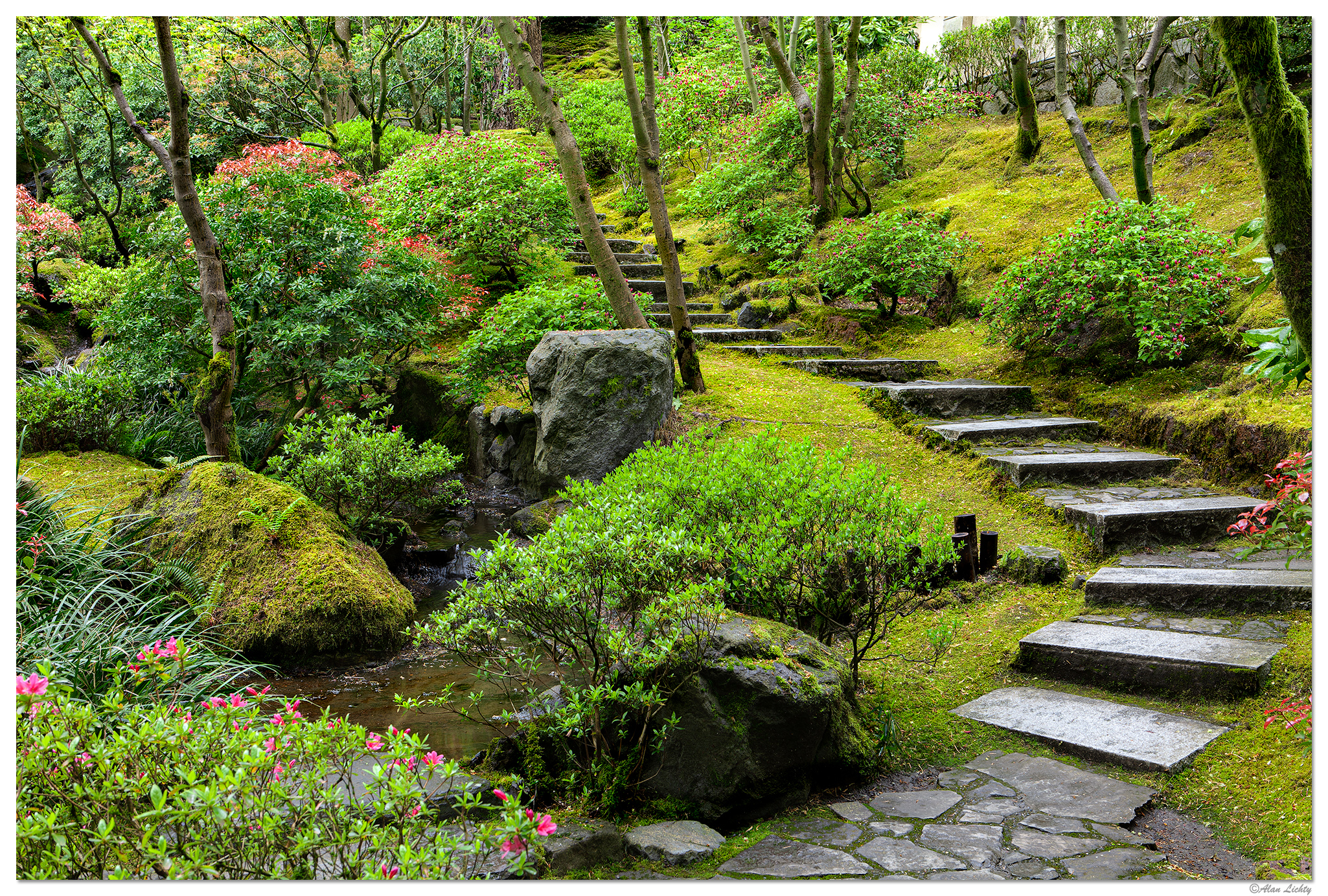 PJG-StairsFromNaturalGarden050309.jpg