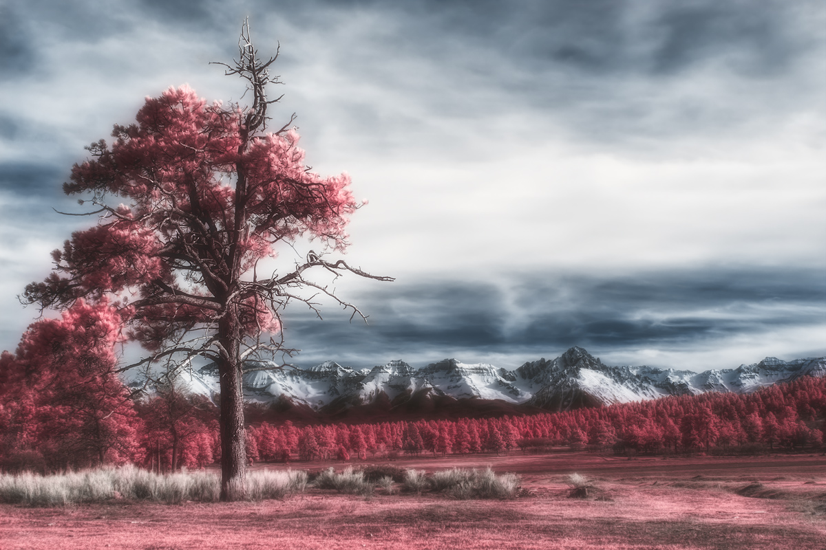 Processed-02-10-2021---3..jpg