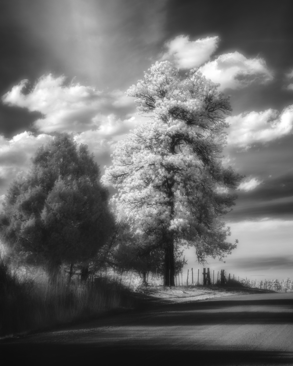 Processed-02-10-2021---4.1..jpg