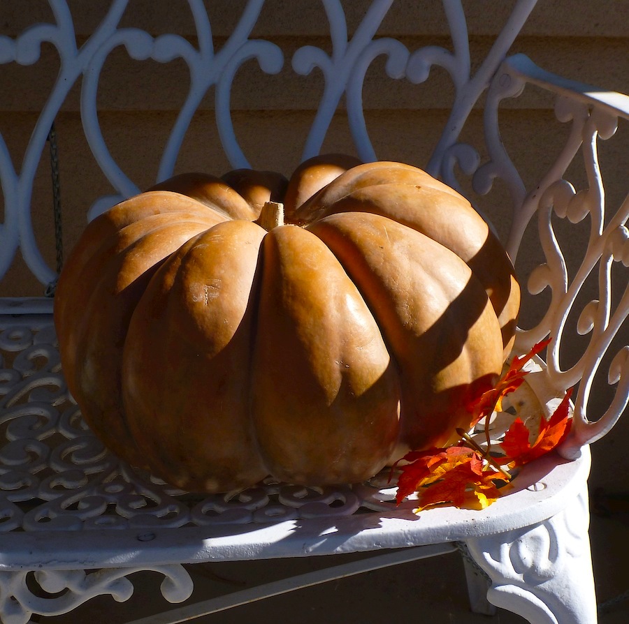 pumpkin2.jpg