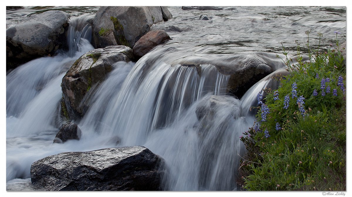 Rainier-EdithCreekRapids.jpg