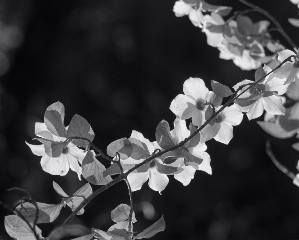 RB67_190508_007_cp1w.jpg