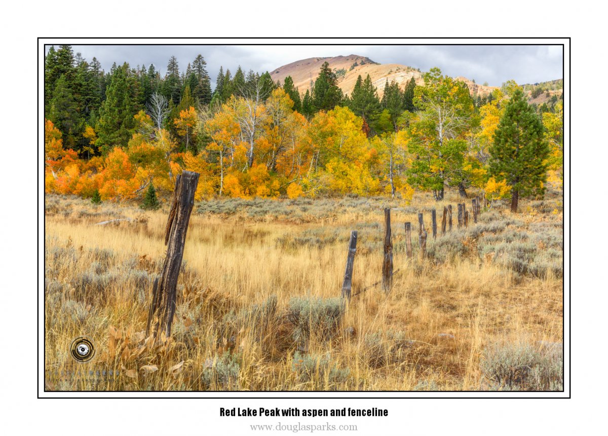Red Lake Peak with aspen and fenceline.jpg