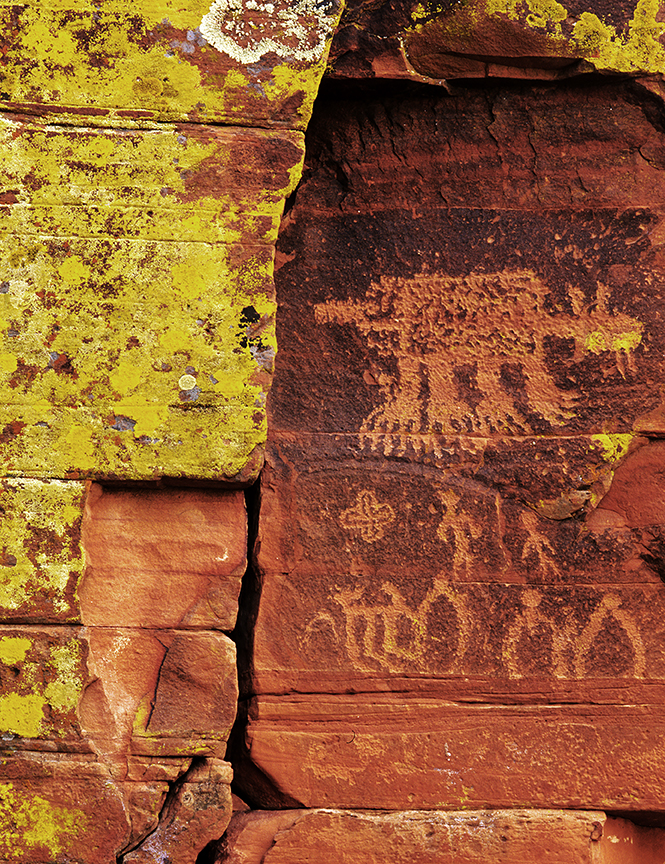 Red Tank Draw bobcat petroglyph bright.jpg