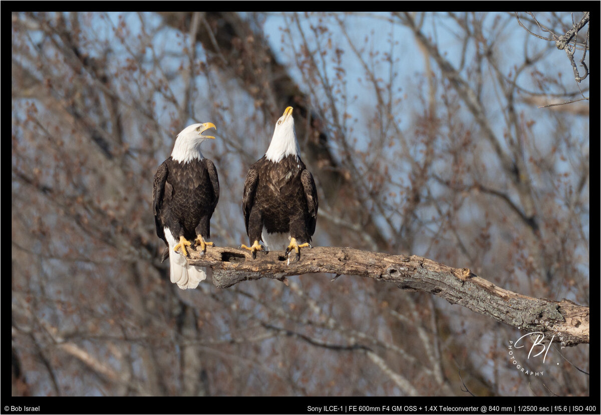 Red Wing 022022-496-Enhanced-Edit.jpg