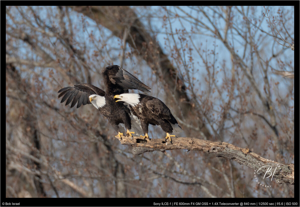 Red Wing 022022-517-Enhanced-Edit.jpg
