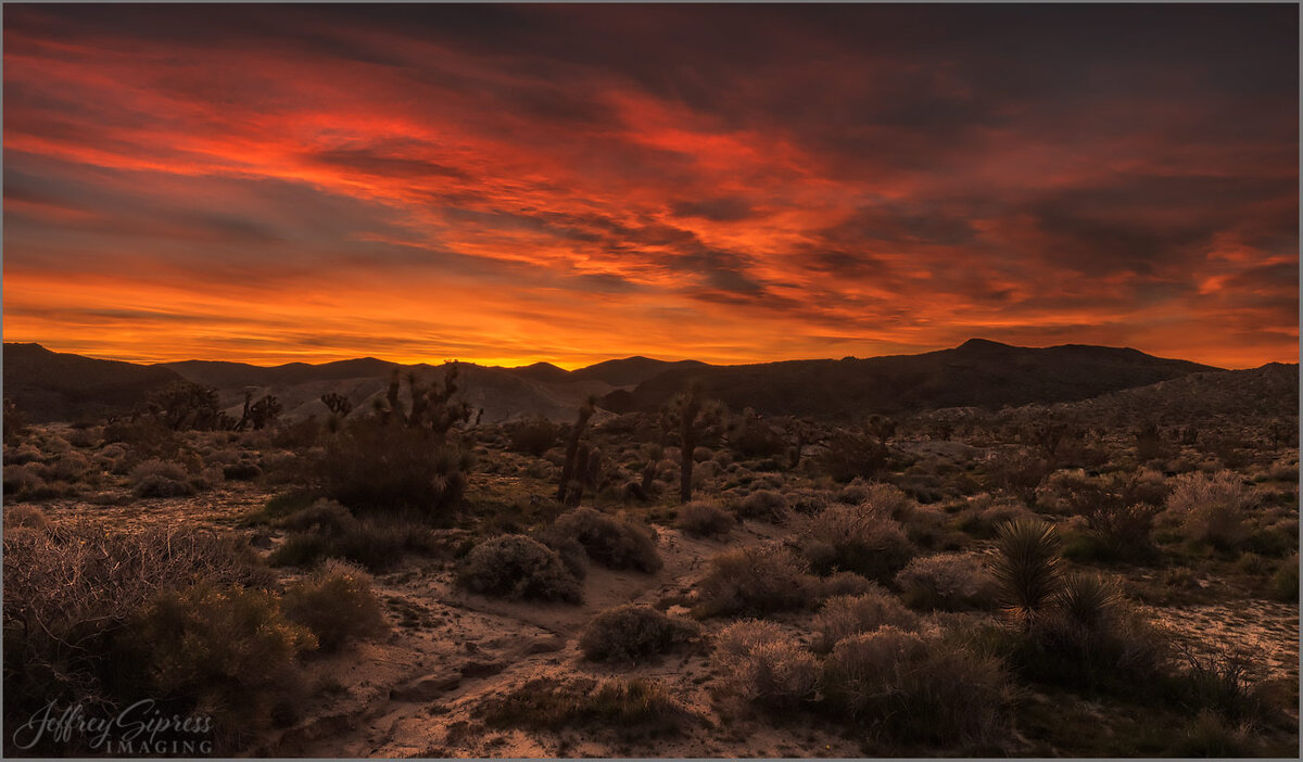 redrocksunrisepano1.jpg