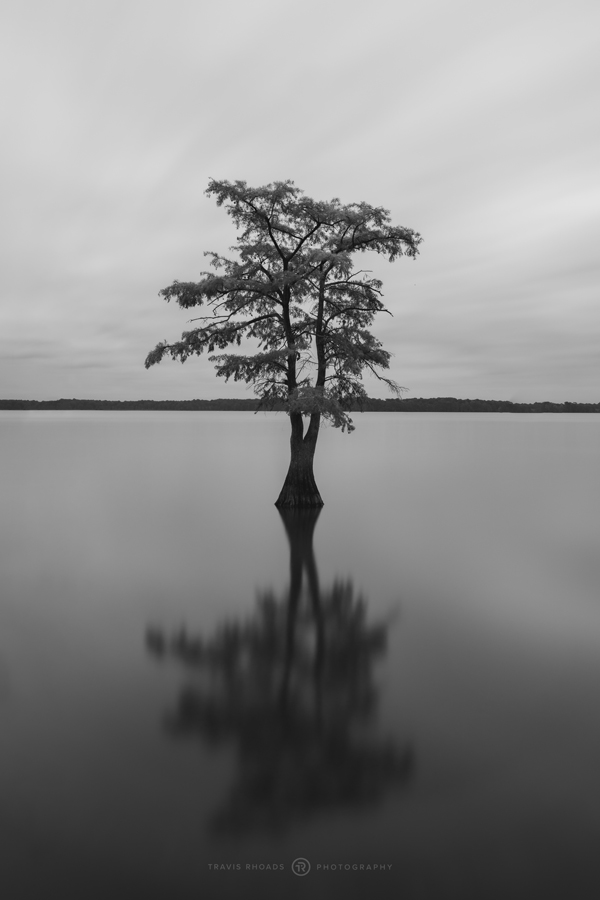 Reelfoot-2020-59-Stillness-POTN.jpg