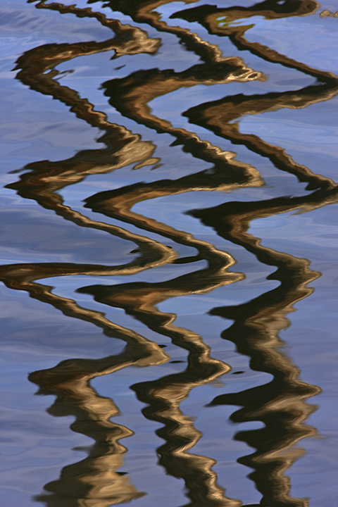 reflect1.jpg