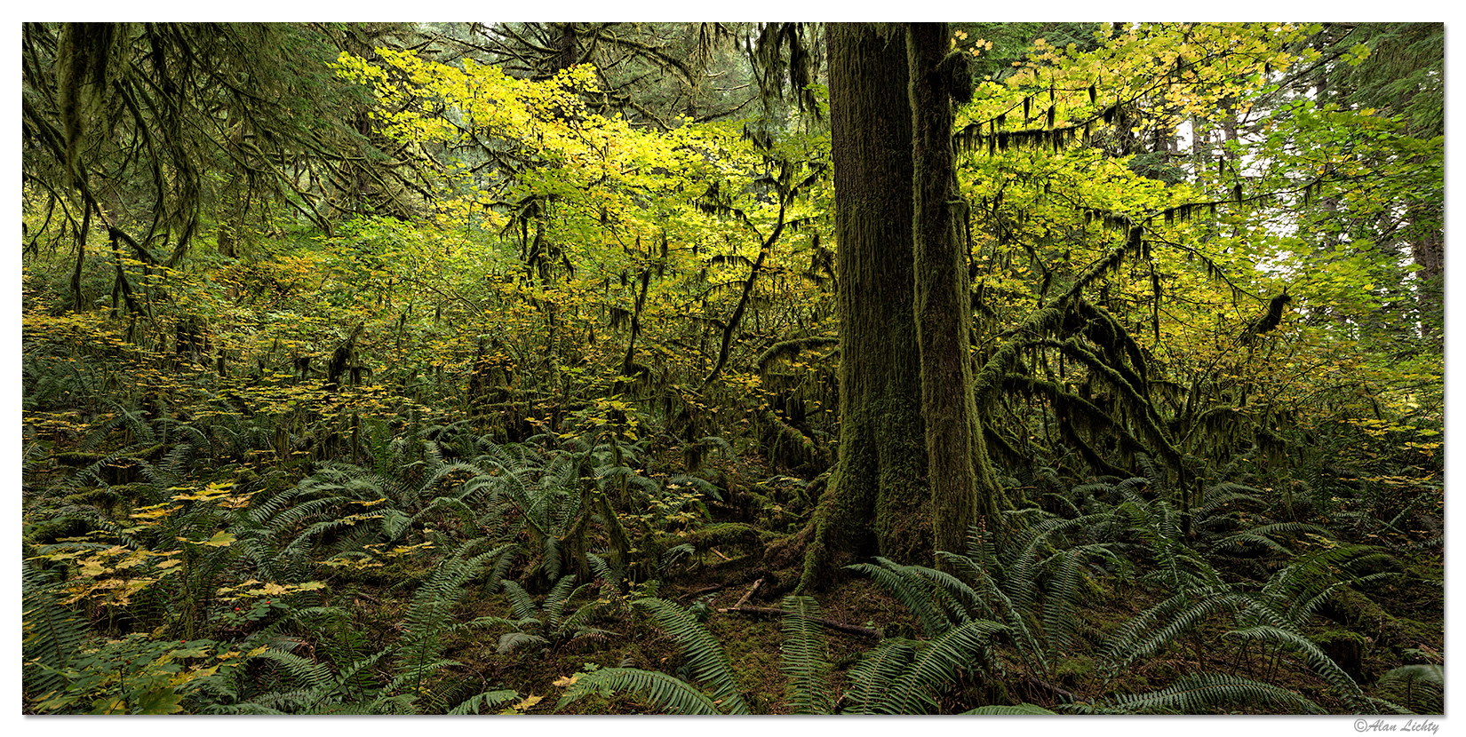 RimTrailPano2.jpg