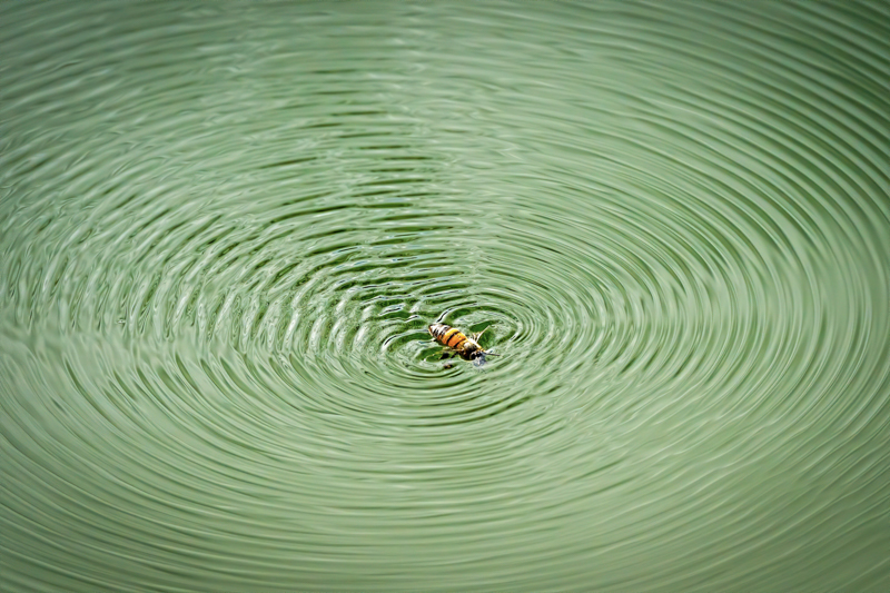 Ripples-2232-Edit.jpg