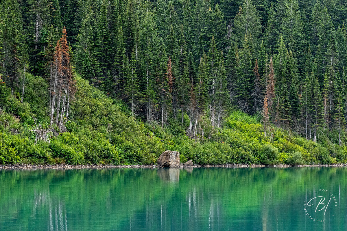 RJI03014-Edit.jpg