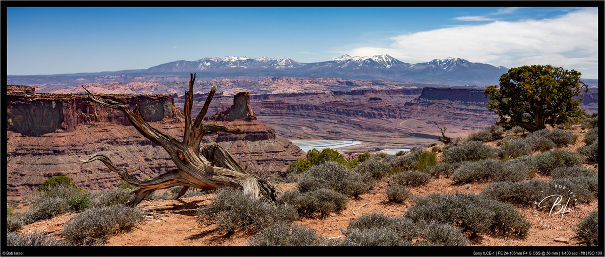 RJI05224-Edit.jpg