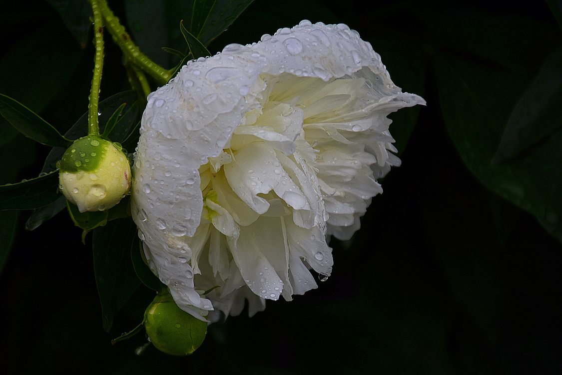 RML_6887_edited-2.jpg