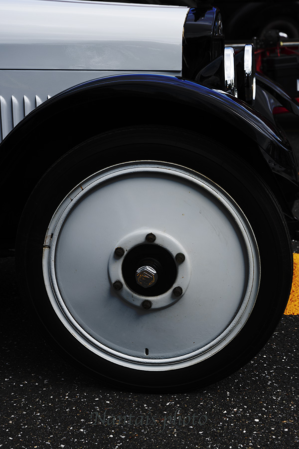 RNZ_0531s.jpg