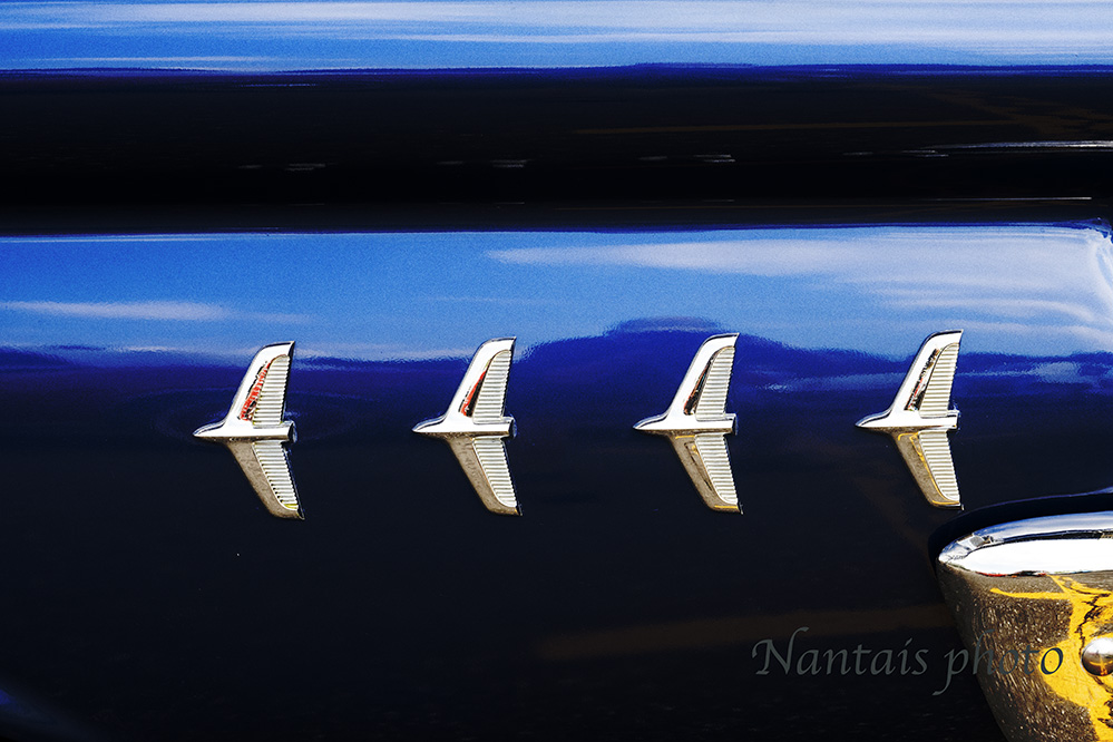 RNZ_0536s.jpg