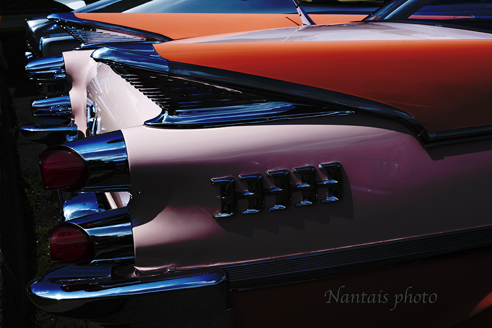 RNZ_0561s.jpg