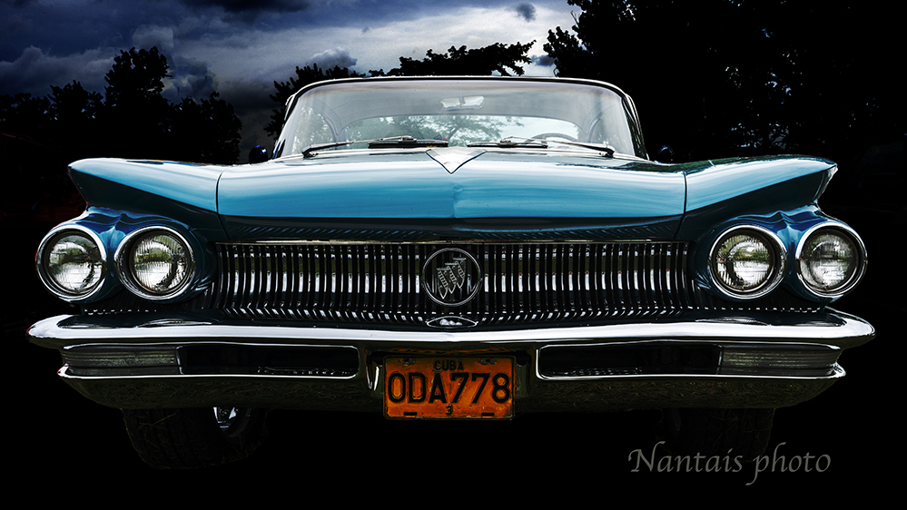 RNZ_0609s.jpg