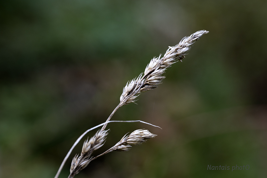 RNZ_2944s.jpg