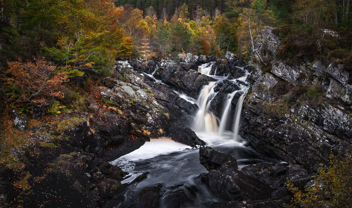 Rogie merge copy.jpg