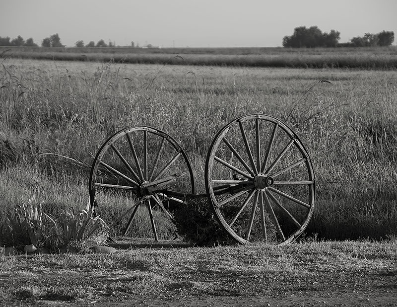Rolling To The Rice Fields.jpg