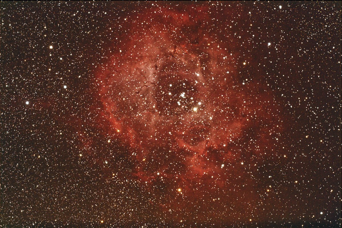 Rosette-10 x 180-1.jpg