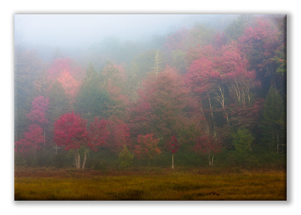 Rte 10 17-65 State Brook Misty Color 1Ds 01 Display.jpg