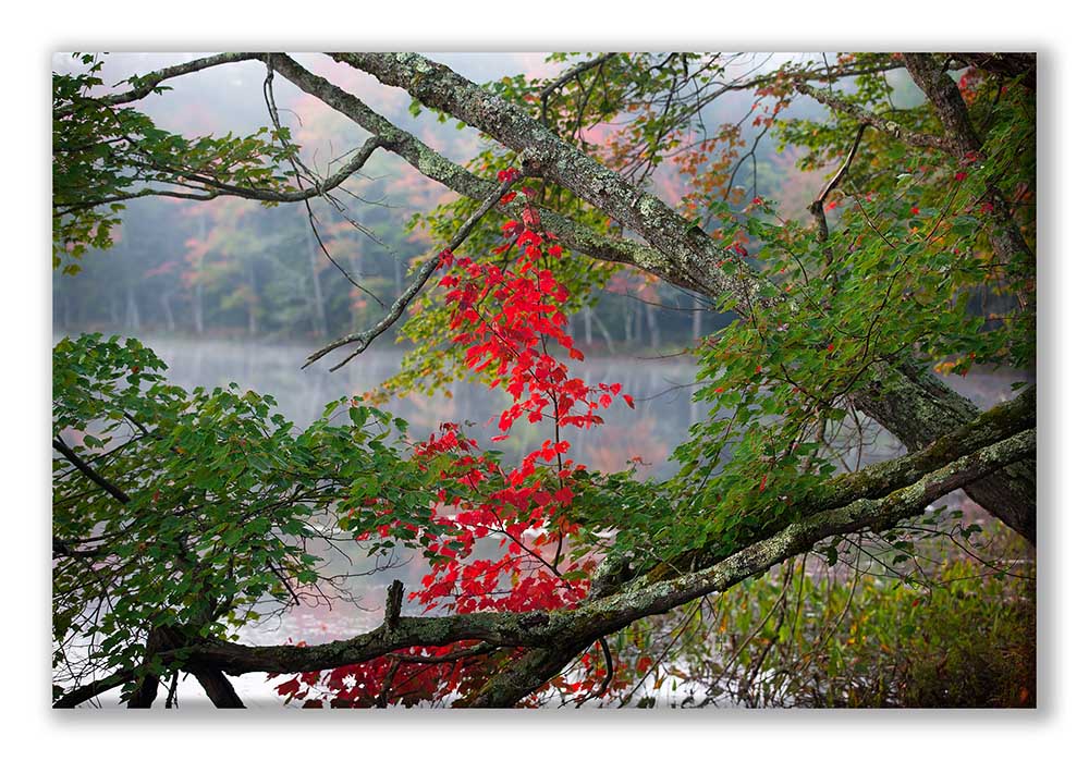 Rte 10 17-9 Red Crossover Wide Display.jpg