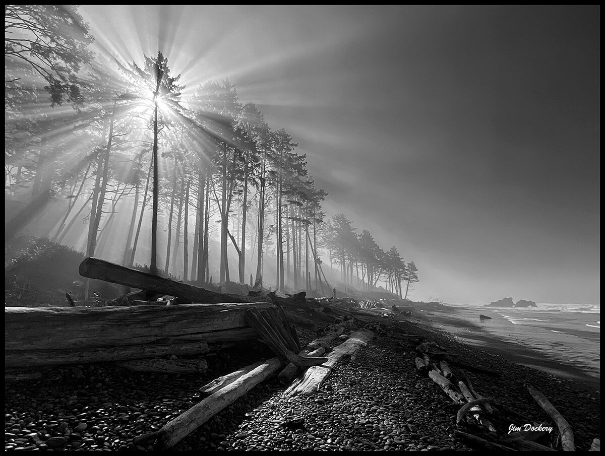 Ruby-Beach-055bw.jpg