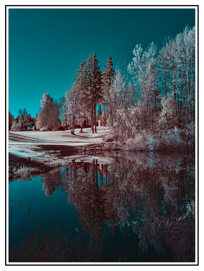 RX_2608.jpg