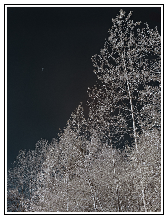RX_2614.jpg