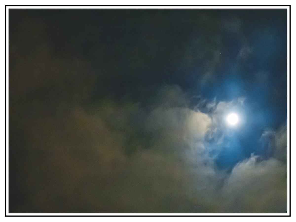 RX_2700.jpg
