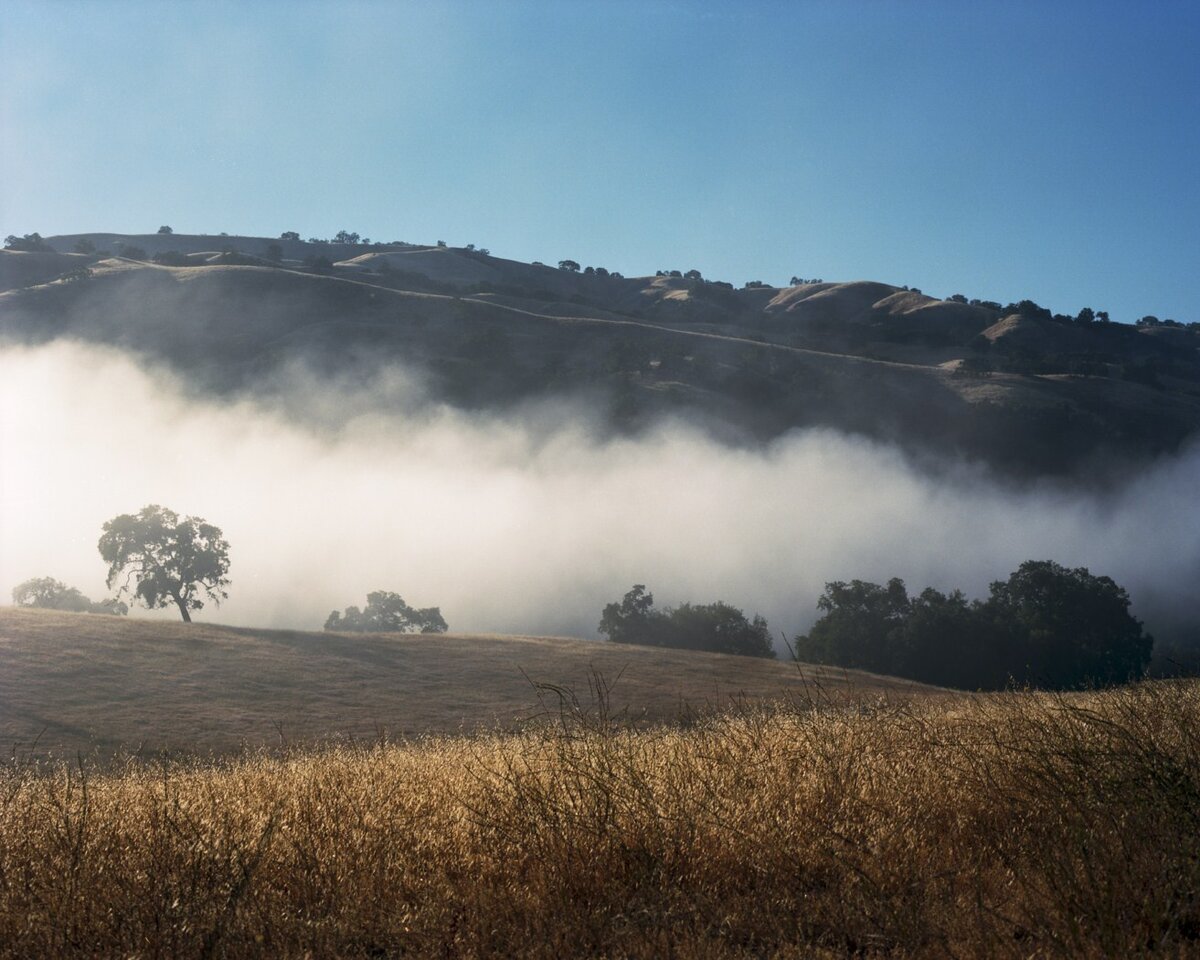 RZ67SF_0010_120712_p2 [Desktop Resolution].jpg