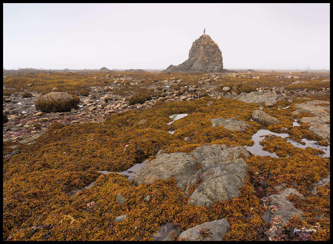 Sand-Point-A-(29).jpg