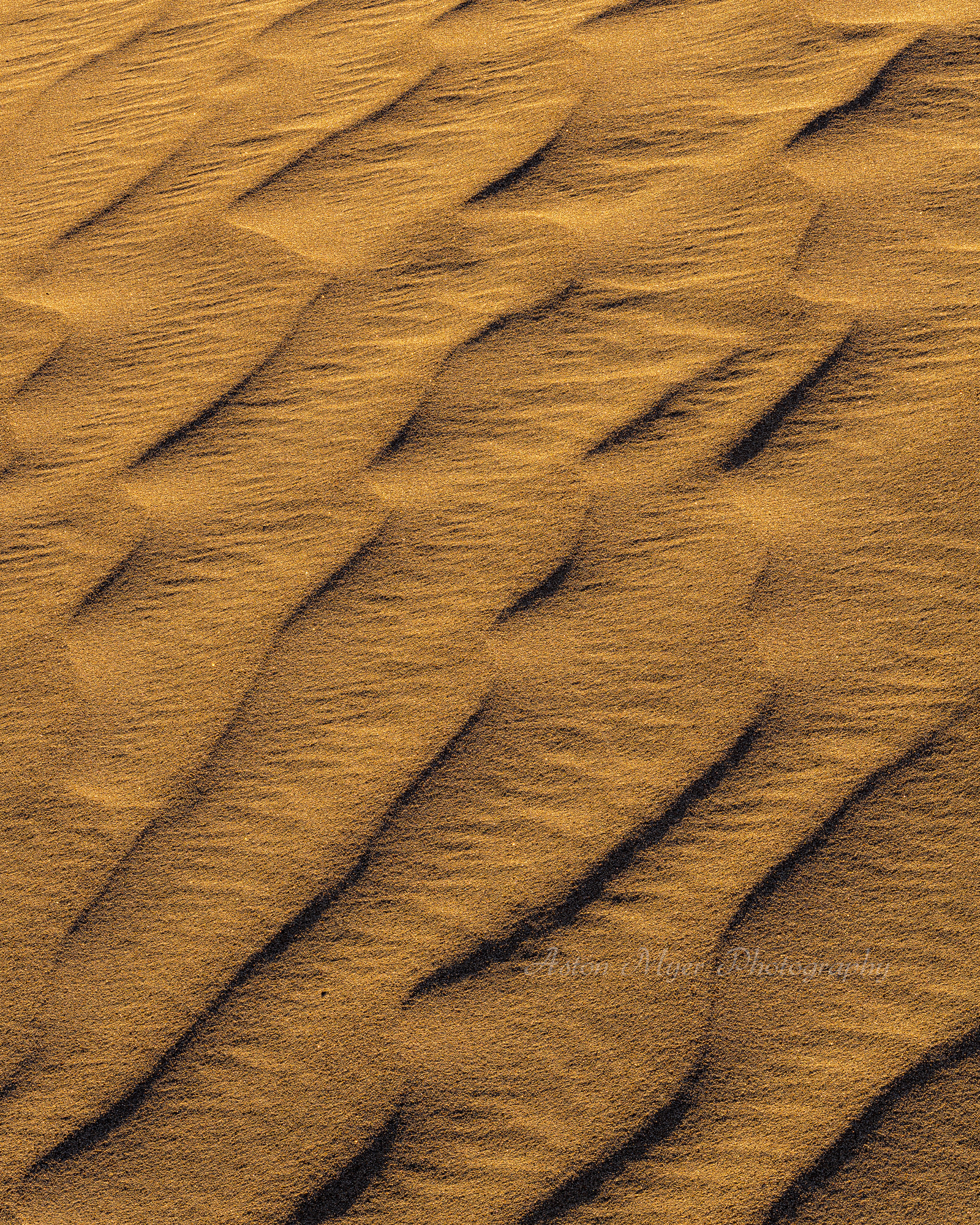 Dunes part 2 | Focal World