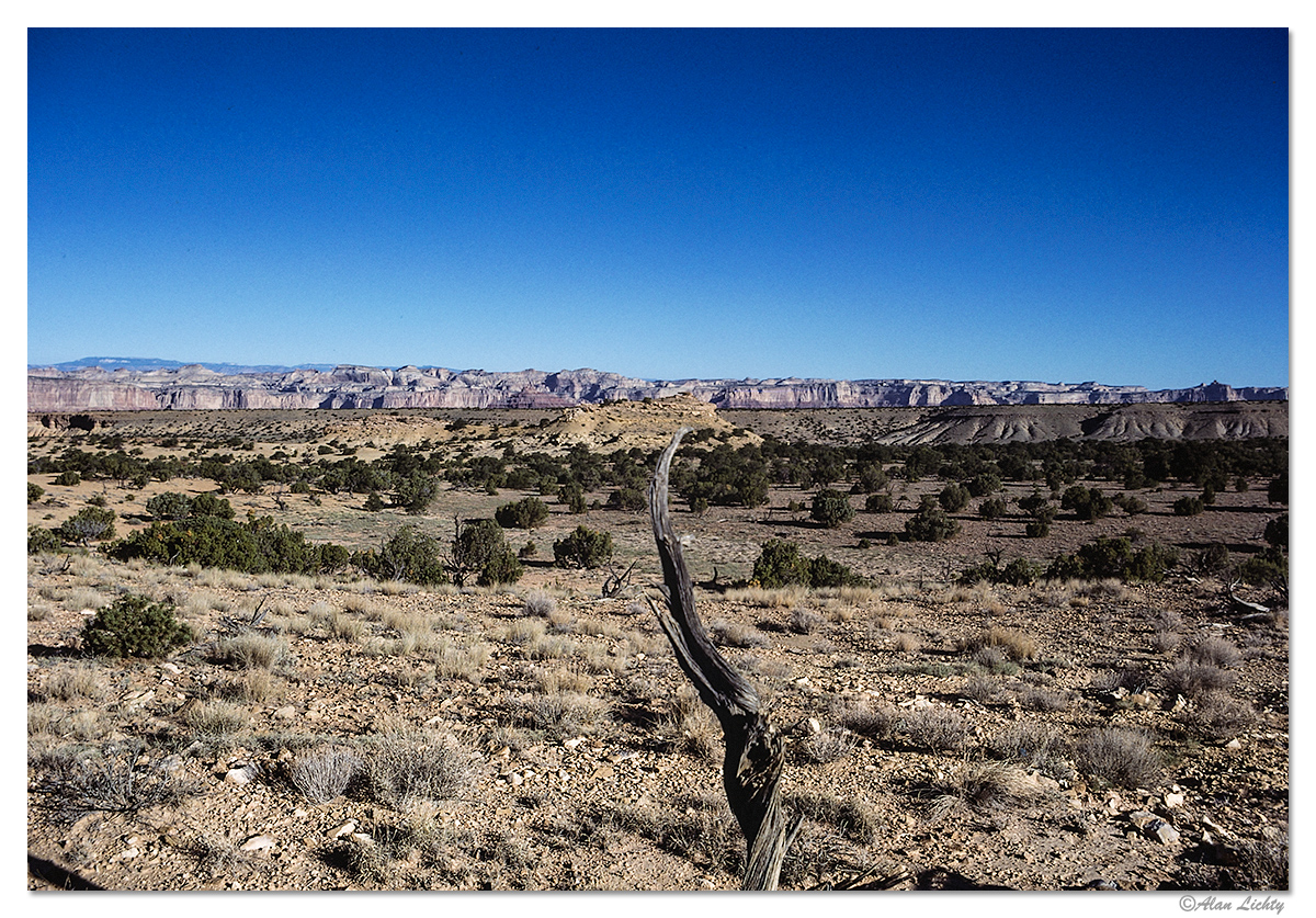 SanRafaelSwell1.jpg