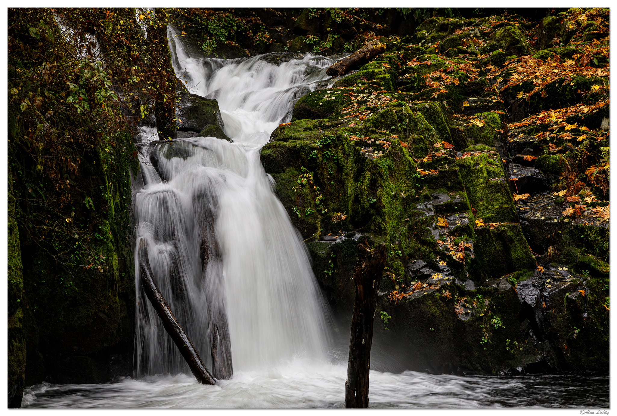SC-SweetCreekFalls21.jpg