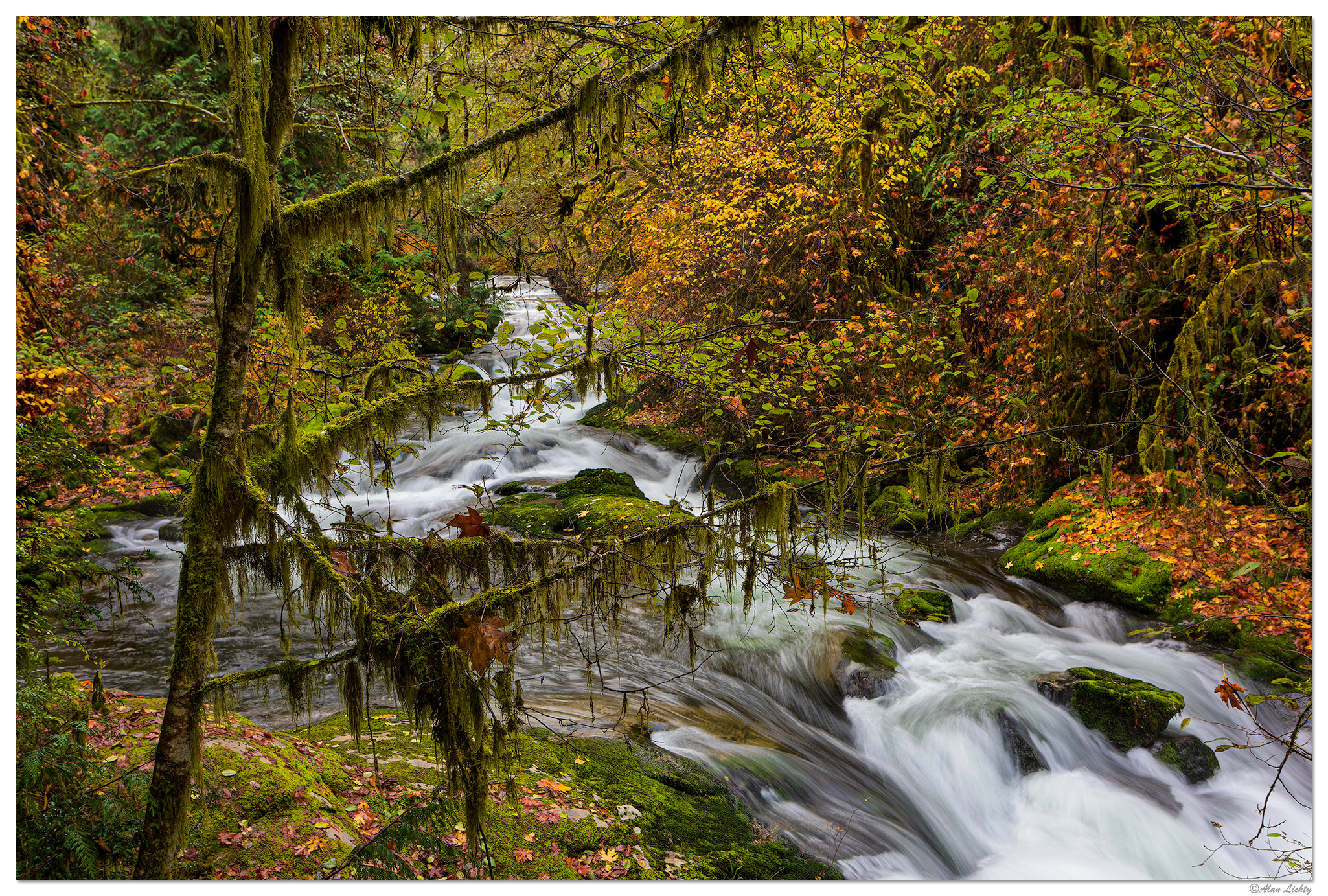 SC-UnnamedFallsMoss110823.jpg