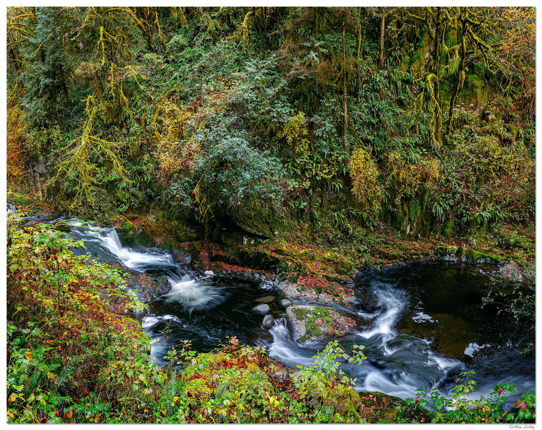 SC-VertPano110322.jpg