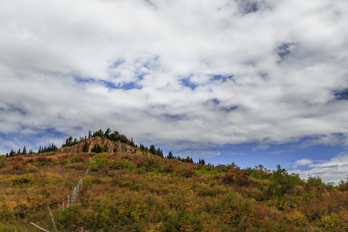 SC7A1381-Edit.jpg