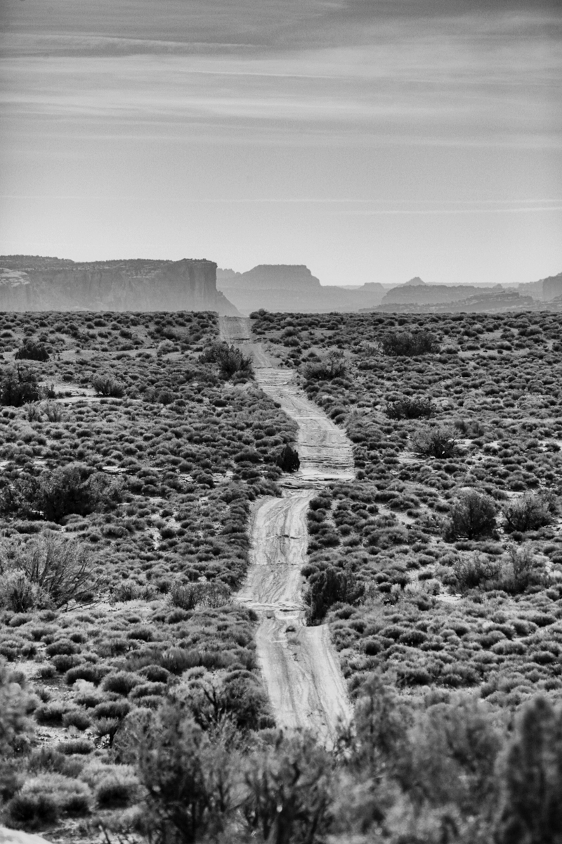SC7A3633-Edit.jpg