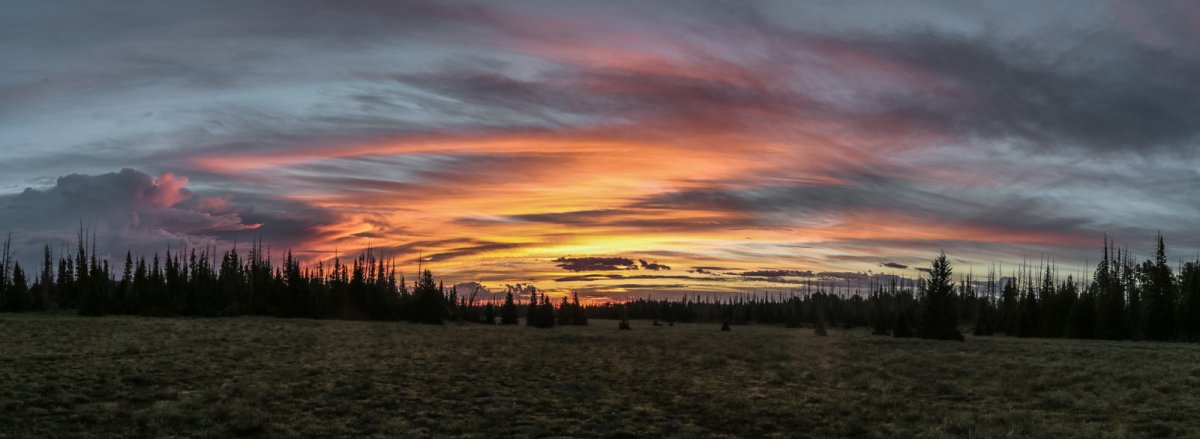 SC7A7598-Pano.jpg