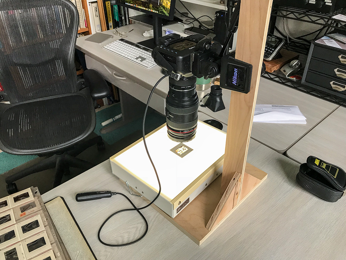 Digitizing olde slides | Focal World