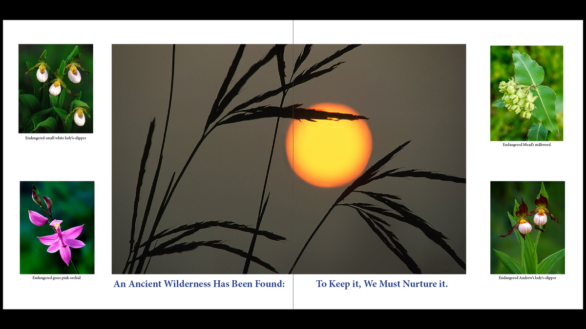 Screenshot (223).png