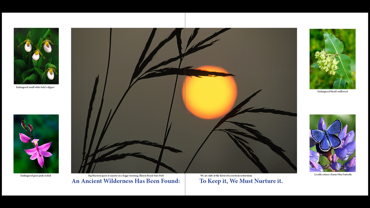 Screenshot (224).png
